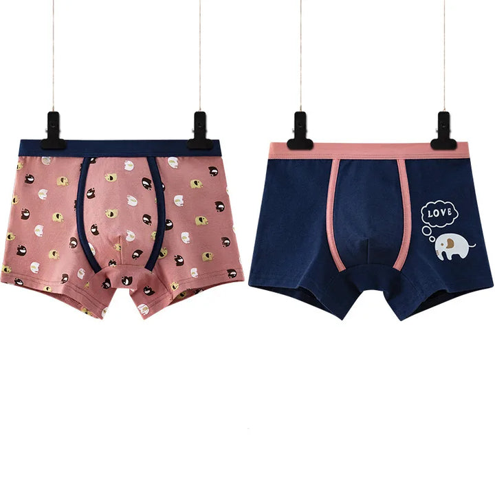 2Pcs Kids Cotton Shorts Boxer Children's Bottoms Boys Underwear Boxer Soft Breathable 2 To14years