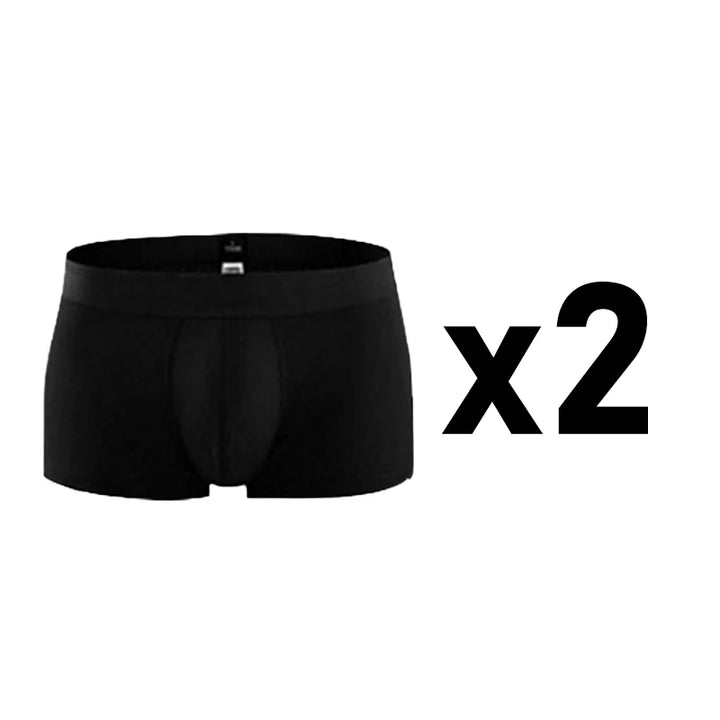 2 Pcs/Lot Men's Plus Size Cotton Panties Boxer Intimate Underware Homme Boxers Thermal Shorts for Boy Sexy Lingerie Underpant