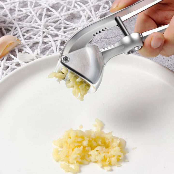 Garlic Pinch Ginger Tool Kitchen Crusher Tools Utensil Stainless Steel Baby Manual Juicers Chop