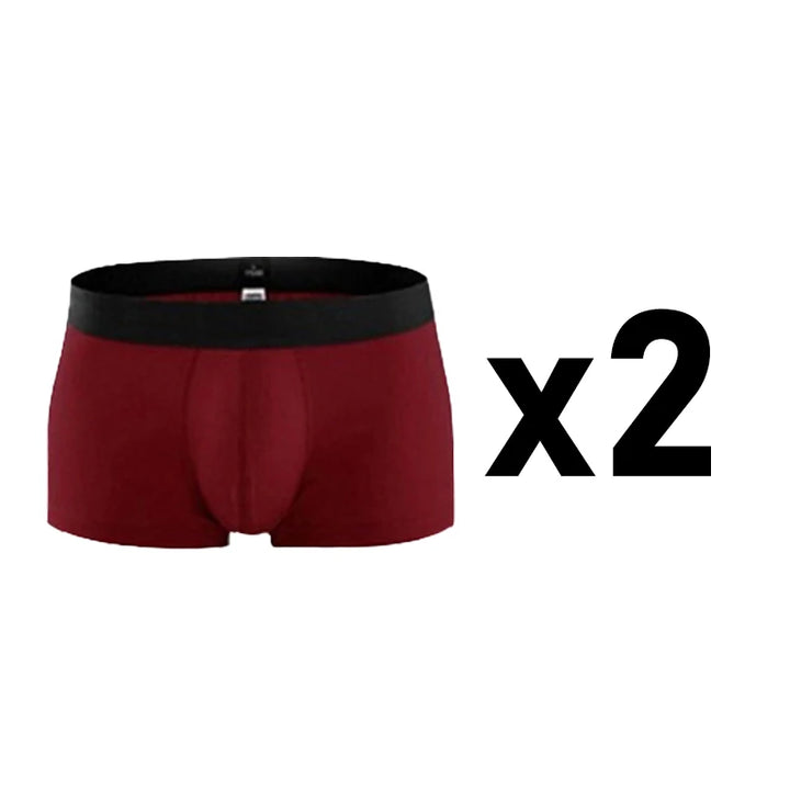 2 Pcs/Lot Men's Plus Size Cotton Panties Boxer Intimate Underware Homme Boxers Thermal Shorts for Boy Sexy Lingerie Underpant