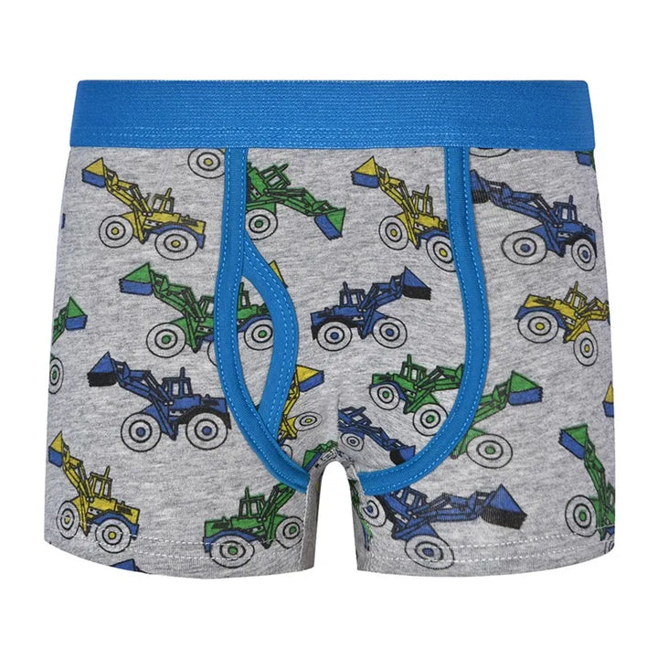 Boys Cotton Panties Children Shorts Underwear For 1-12Years Baby Kids Elastic Waist Boxers Briefs Teenagers Cartoon Underpants