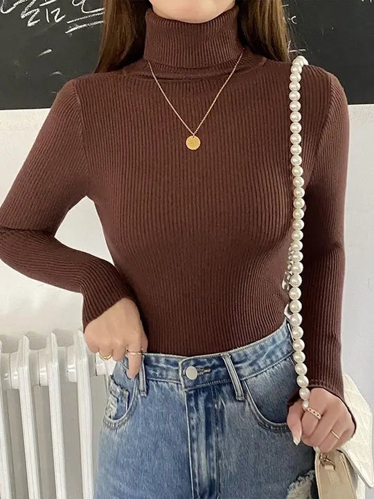 Women Fall Turtleneck Sweater Knitted Soft Pullovers Cashmere Jumpers Basic Soft Sweaters Female Basic Blouse New