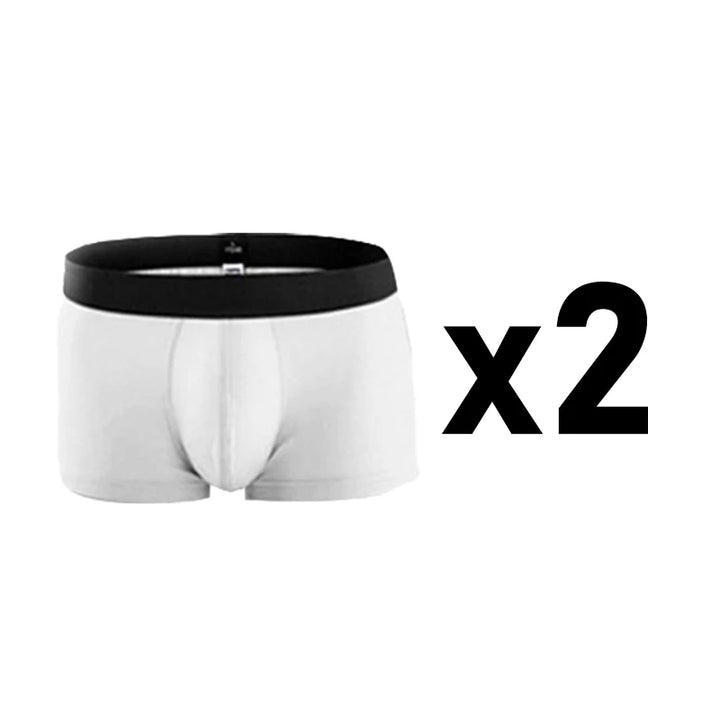 2 Pcs/Lot Men's Plus Size Cotton Panties Boxer Intimate Underware Homme Boxers Thermal Shorts for Boy Sexy Lingerie Underpant