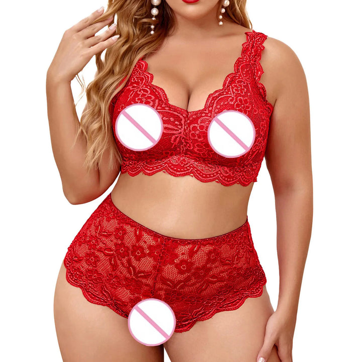 4XL Plus Size Sexy Bra And Panties Set Sheer Mesh High Waist Lingerie Outfit For women Lace Embroidered Push-Up Underwear Set 속옷