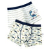 2Pcs Kids Cotton Shorts Boxer Children's Bottoms Boys Underwear Boxer Soft Breathable 2 To14years