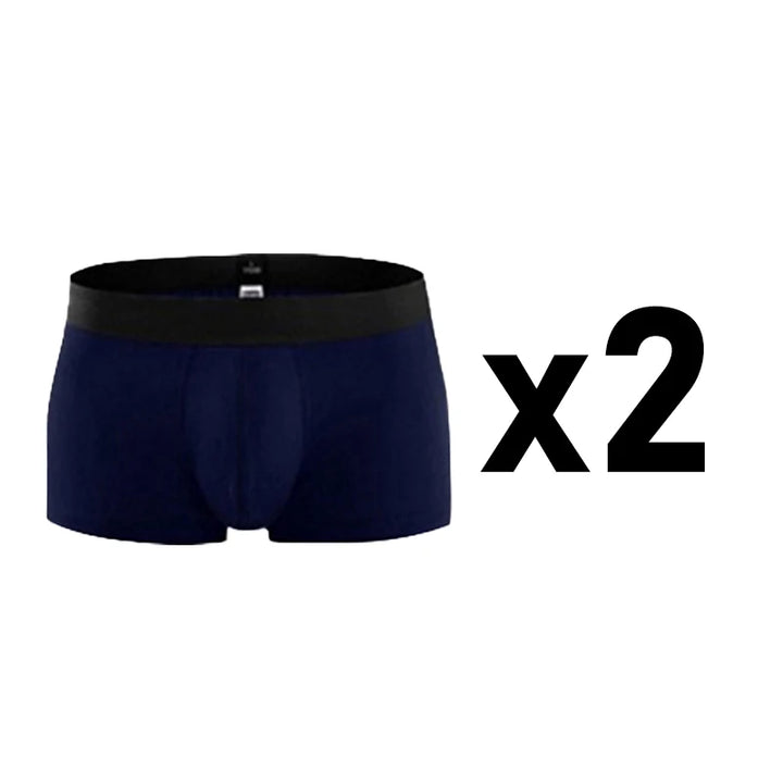 2 Pcs/Lot Men's Plus Size Cotton Panties Boxer Intimate Underware Homme Boxers Thermal Shorts for Boy Sexy Lingerie Underpant