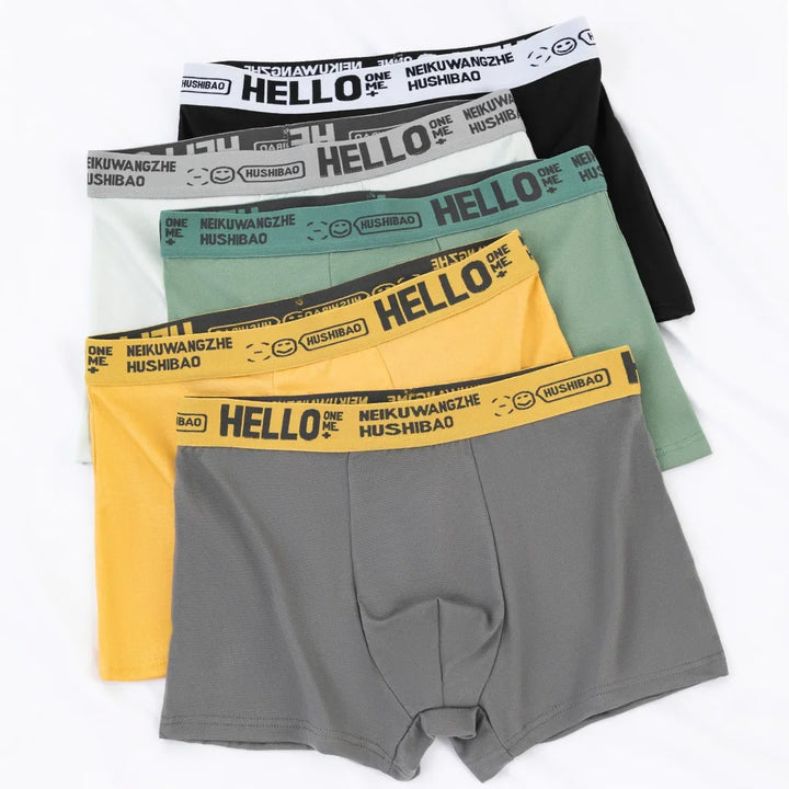 4pcs Men's Briefs Fashion Boxer Shorts Underwear Men's Panties Breathable Elastic Large Size Male Underpants