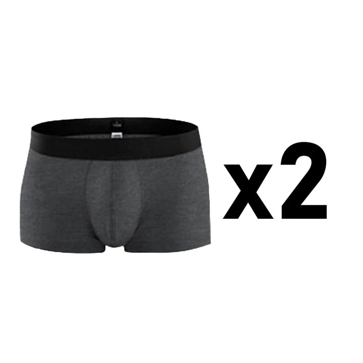 2 Pcs/Lot Men's Plus Size Cotton Panties Boxer Intimate Underware Homme Boxers Thermal Shorts for Boy Sexy Lingerie Underpant