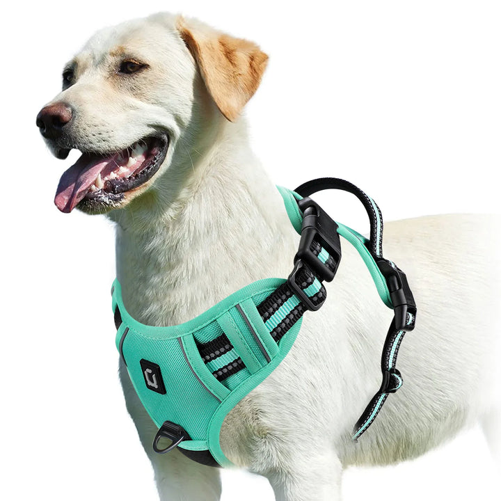 No Pull Dog Harness, Adjustable Soft Padded Pet Vest with Easy Control Handle